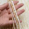 1String, White Yellow Natural Shell Beads for Jewelry Making DIY Necklaces, Bracelets Anklets Accessory, Unique Gifts for Halloween, Christmas 38cm