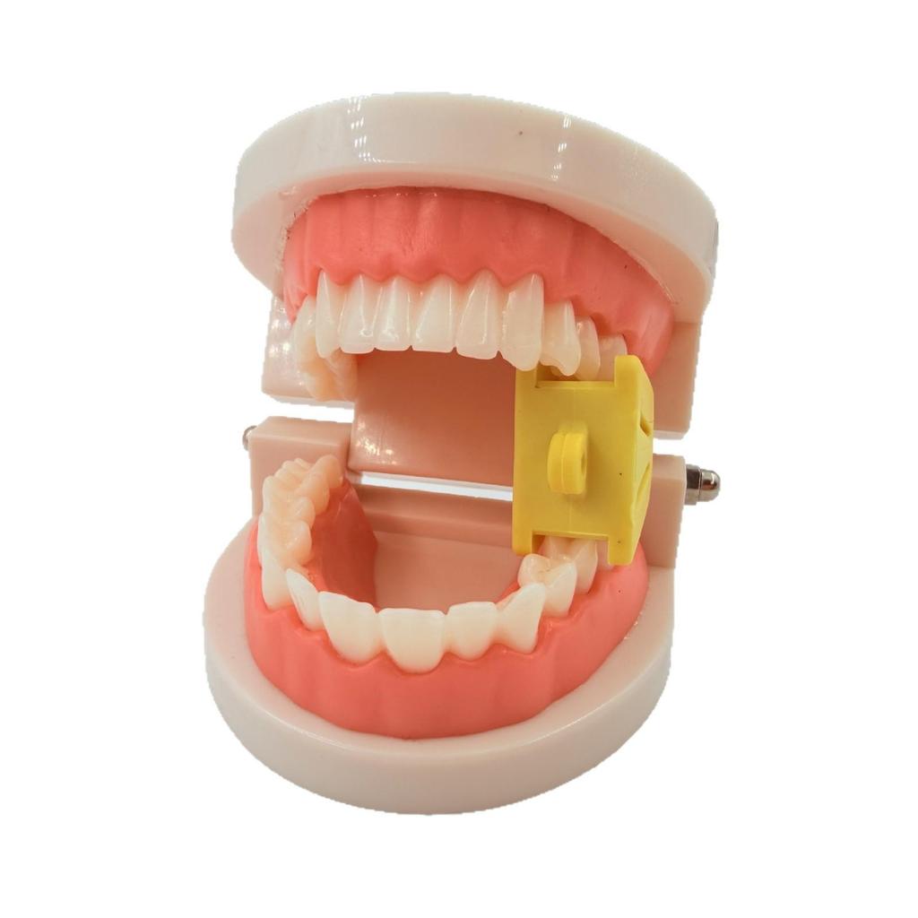 Dental Bite Pad Retractor - Mouth Gag & Gum Protector (Large, Medium, Small Sizes)