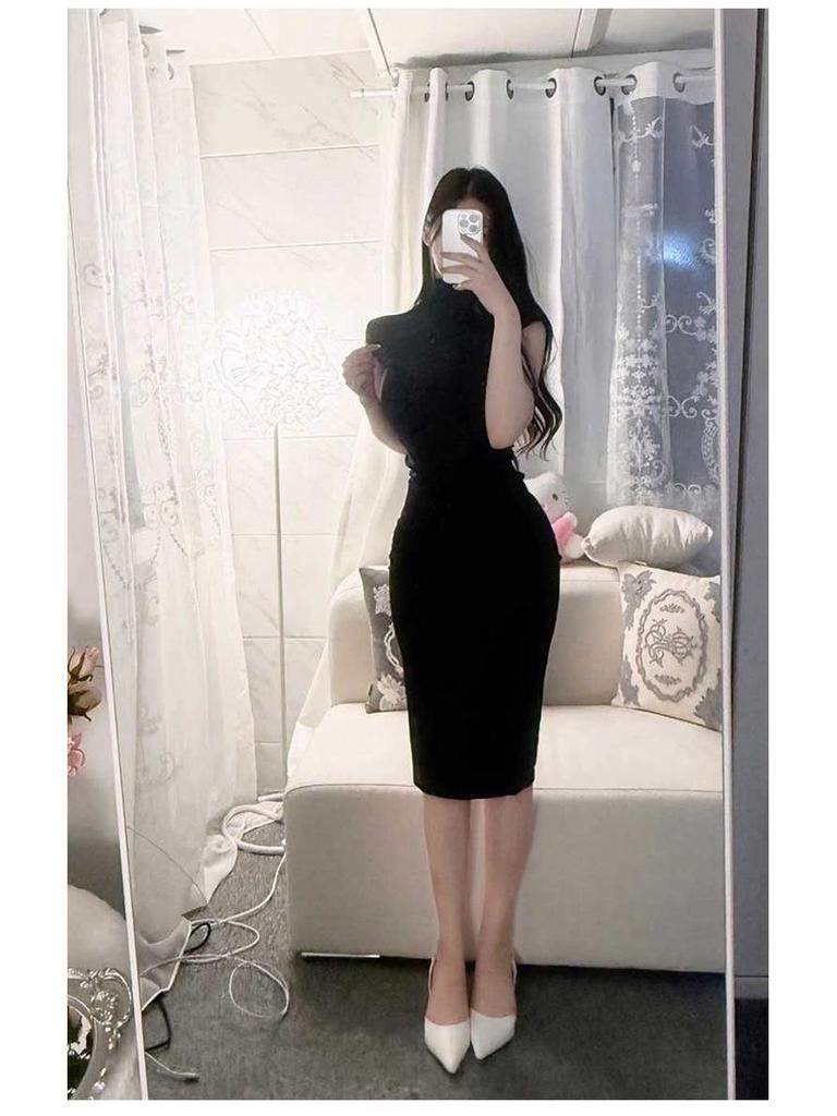 Korean Elegant High-Neck Slim Fit Dress