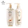 Multi-Effect Repair Shampoo & Conditioner Set