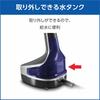Tefal Powerful Continuous Steam Average Approximately 18g/min Clothing Steamer Special Model "Access Steam Black" Rise Approximately 40 Seconds Steam