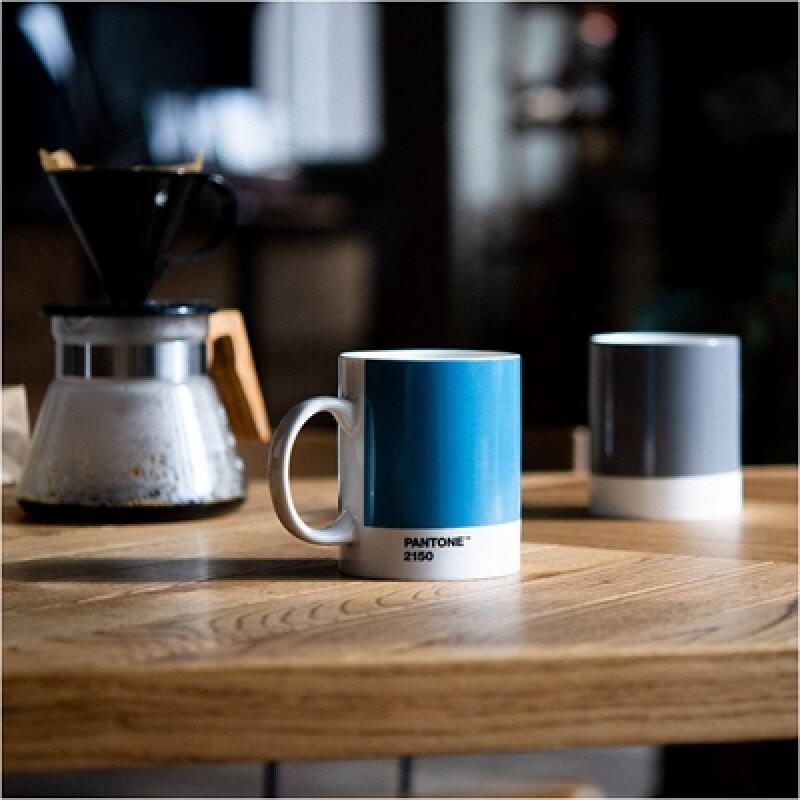 Pantone Tasse (Kühles Grau 9)