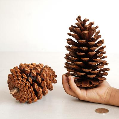 15Cm American Pine Cones Pine Tower, Christmas Pine Cones Window Arrangement Ornament Home Decoration Diy Dried Flower Materials