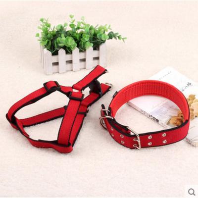 Σκύλοι – Περιλαίμια και λουριά για σκύλους