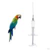 20ml Bird Feeder Baby Parrots Feeding Prevention