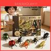 Lernspielzeug-Set Insekten mit plastischen Krabbelfiguren und Erkennungskarten für Kinder