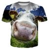 Zabawny T-shirt ze wzorem krowy dla mężczyzn Uroczy zwierzęcy T-shirt z nadrukiem 3D Letnie oddychające luźne topy unisex z okrągłym dekoltem Koszulki z krótkim rękawem