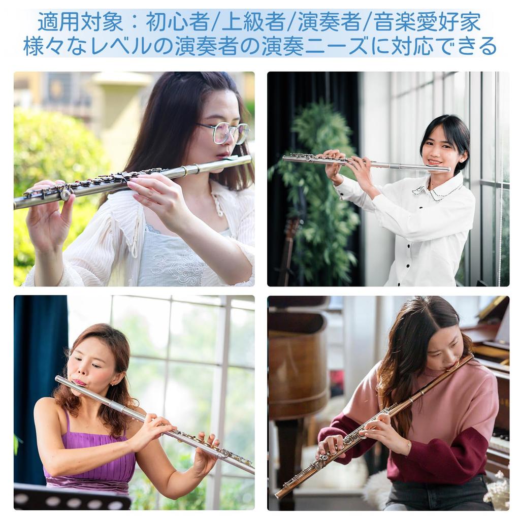 BQKOZFIN Flöte 16 Löcher C-Dur Anfängerset Holzblasinstrument Kupfernickel Versilbert Brass Band Anfängerset 16 Löcher C-Dur Flöte Übung Liebhaber