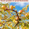 10 PCS Rubber Hooks Branch Bender Metal Tree Branch Spreader Tree Shaping Limb Spreader  Fruit Trees