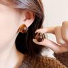 New Water Drop-shaped Amber Three-dimensional Ear Buckle Women's Autumn and Winter Popular Coffee Earrings Temperament Advanced Earrings
