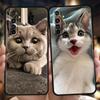 Kawaii Liebeskatze Handyhülle Für Realme 13 12 11 10 9 8 5G 7 C25 C35 GT5 GT3 GT2 Pro Plus Für Realme GT Neo 2 3 3T 5 Hülle