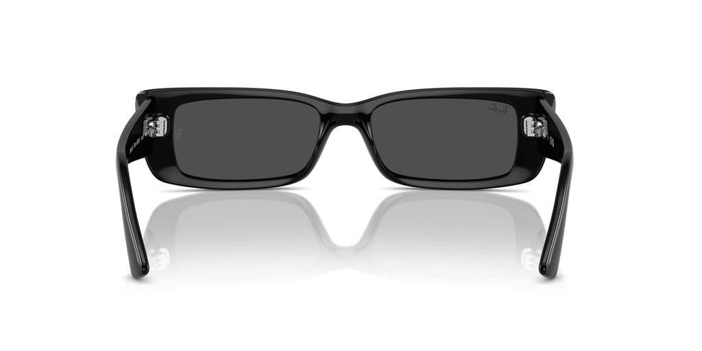 Sonnenbrille RB4425F TERU BLACK 54 Ray-Ban