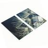 Glass Decorative Snack Serving Boards Dandelion 2x30x52 Cm