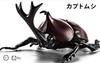 Free Research Series Living Creatures Beetle Plastic Model No.21