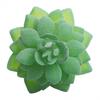 Fleshy Simulated Succulent Flocking Home Plant Flower Head