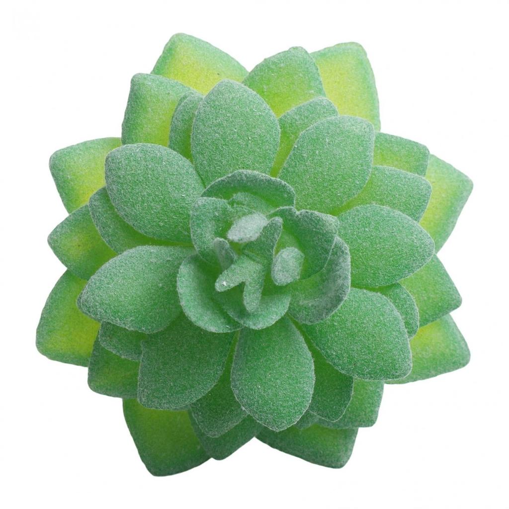 Fleshy Simulated Succulent Flocking Home Plant Flower Head