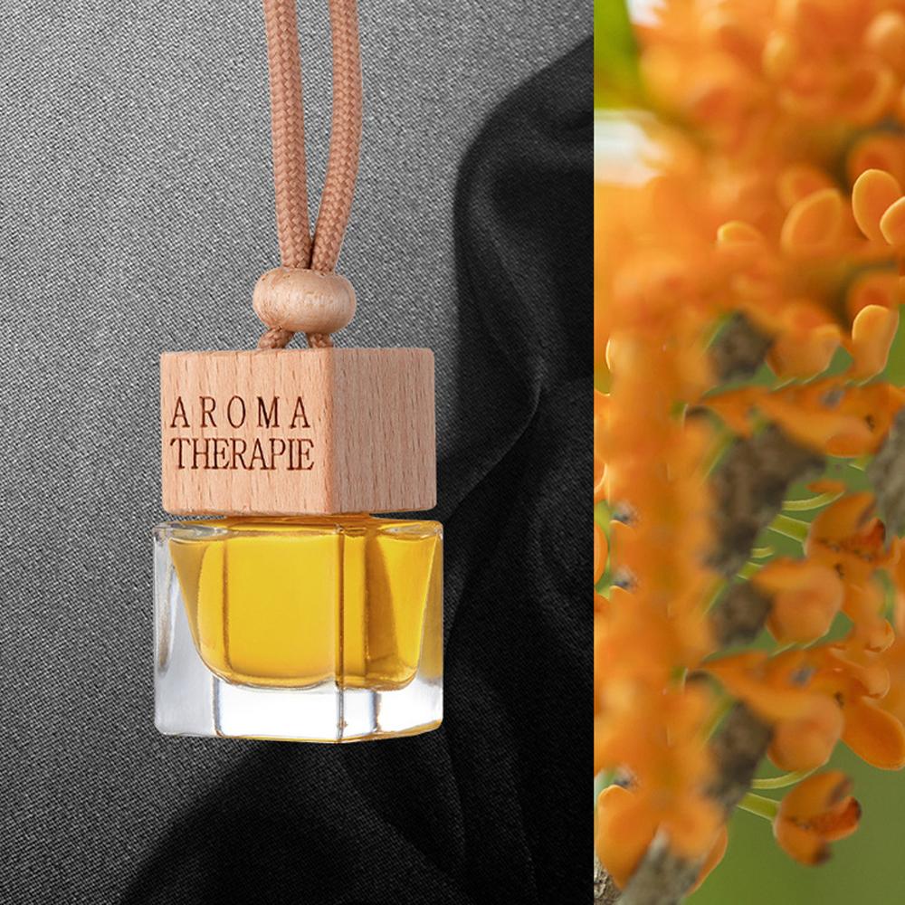 10Ml Car Fragrance Pendant Perfume Oil Diffuser Air Freshener, High-End Rearview Mirror Pendant for Mercedes-Benz Bmw Toyota