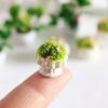 Yousheng Mini Plant Model 1/12 Scale Doll Houses Plants Realistic Micro Plastic Pots for Doll Houses Garden Accessories Fairy Garden Patio Decor