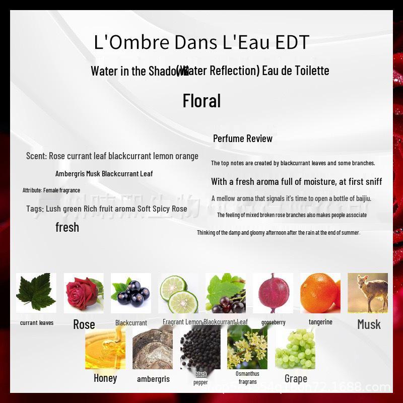 EAU ROSE White Label Rose Citrus Perfume - Morning Lily Tokyo Summer Light Sandalwood Road White 2600₽