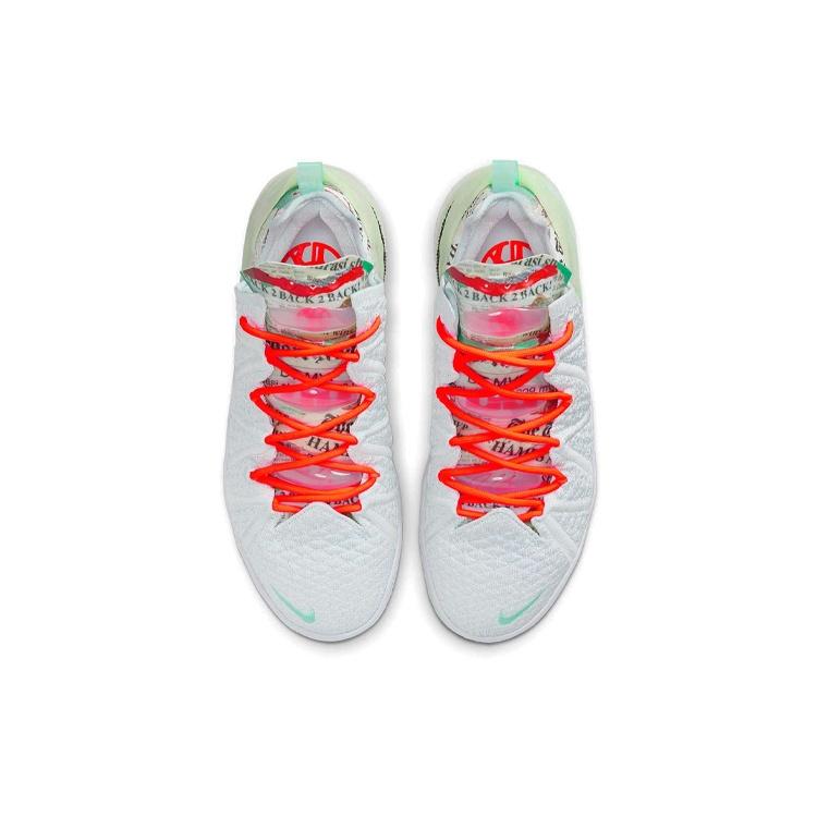 Nike Diana Taurasi X LeBron 18 'GOAT Vision' Men's CQ9283-401
