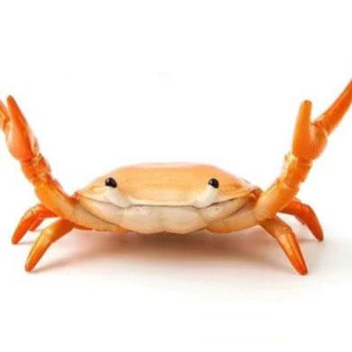 Easy To Hold Useful Weightlifting Crab Pen Holder Bright Color Crab Pen Holder Simulation for Students