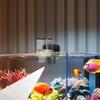 Alimentador de Aquário Alimentador de Peixe a Pilha Com Temporizador Máquina de Alimentação Programável Com Display Digital