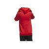 adidas Neo Art Hoodie New Year Limited Edition Printed Pullover Men Red GF7105