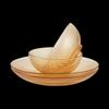 DuPont Starry 4-Piece Dinnerware Set