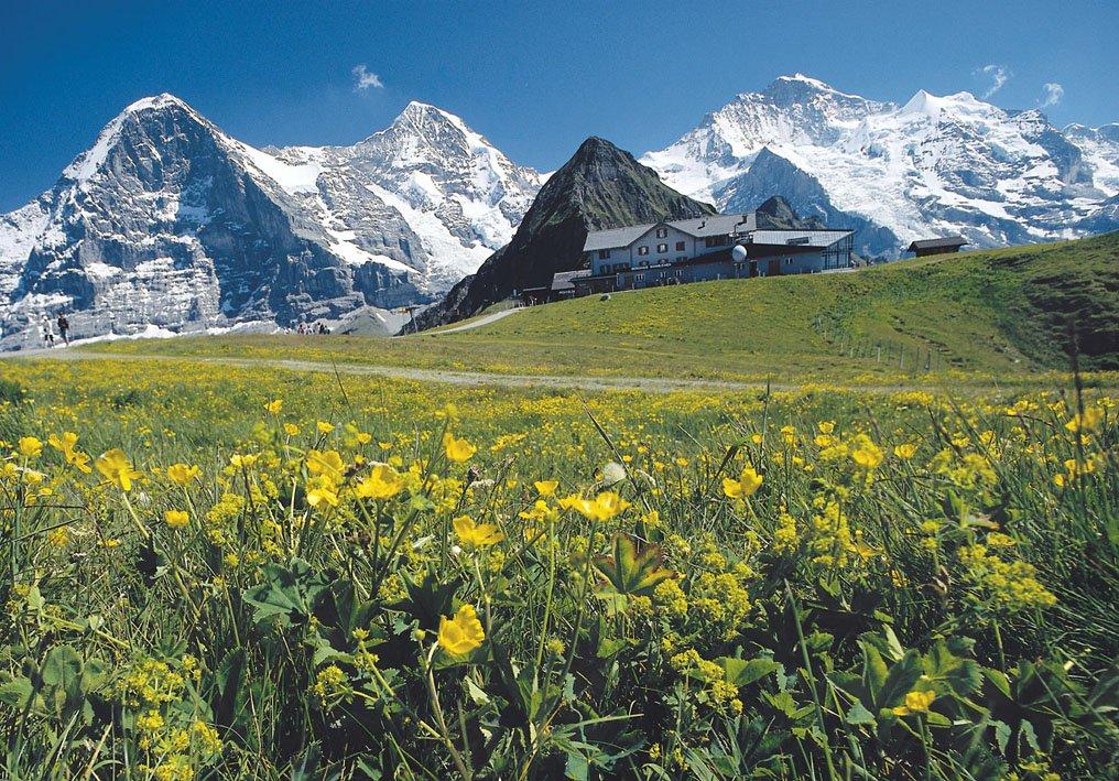 Ricola Zitrone Minze Kräuterbonbons 70g x 6 Stück