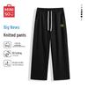 Men's Heavyweight Loose Fit Straight-Leg Casual Pants