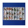 24 Piezas Brainrot Tung Tung Sahur Figuras Muñeco Tralalero Tralala Bombardino Cocodrilo Chimpancini Bananini Modelo Juguete Regalo