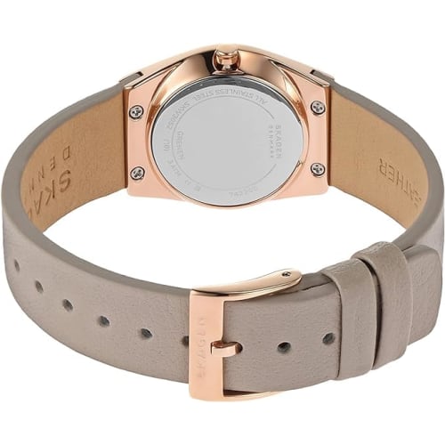 Skagen Women's Watch SKW3052 Grey