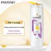 Pantene Goddess Festival Care Gift Set