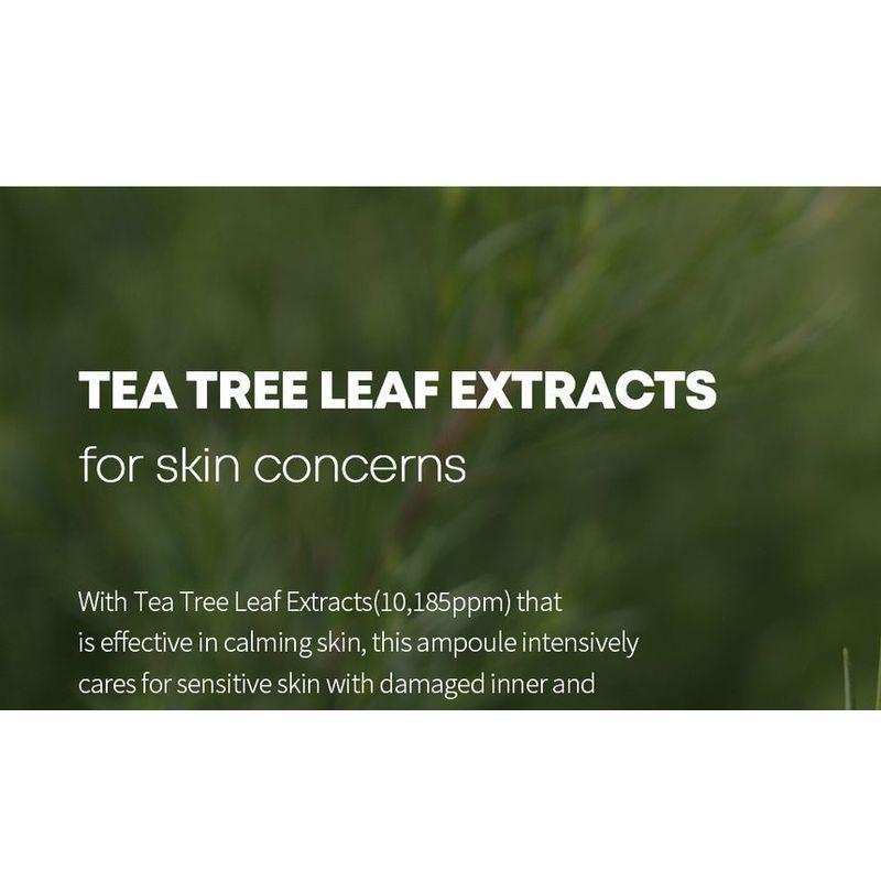 FARM STAY Tea Tree Biome Calming Ampoule