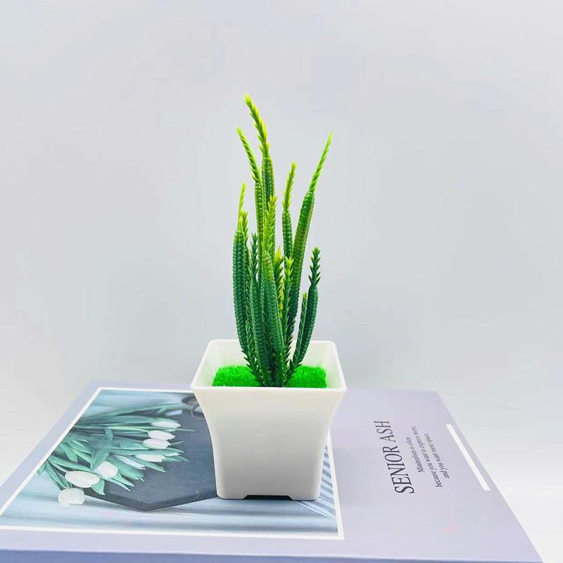 Simulation Crassula Muscosa Echeveria Laui Succulent Plant Bonsai Artificial