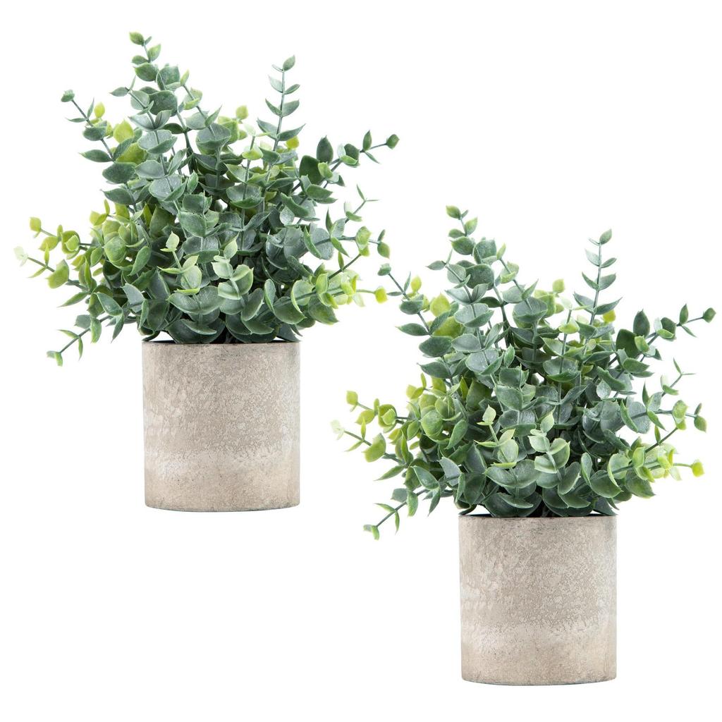 Small Potted Eucalyptus Artificial Plant for Shelf, Desk, or Table Decoration
