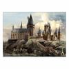 Tenyo [Made In Japan] 108-Piece Jigsaw Puzzle Harry Potter Hogwarts Castle (18.2x25.7cm) B-108-832, Includes Glue, Spatula, and Service Card