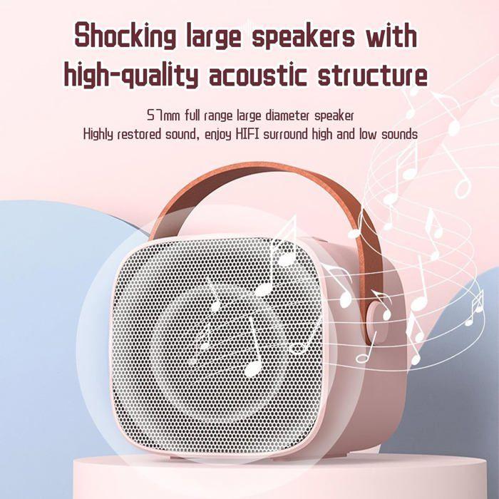 Micro Karaoké - Machine - 2 Micros Sans Fil - Haut-Parleur Portable LED - Rose