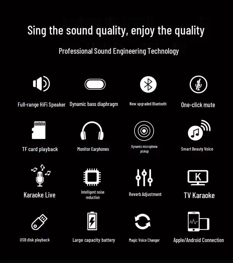 Wireless Bluetooth K-Song Microphone & Speaker with Built-in Sound Card for TV and Mobile