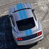 Car Stickers Auto Hood Bonent Roof Tail Decor Decal Graphics Stripes Kit Vinyl Tuning Cover For Ford Mustang GT500 GT350 GT