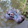 Floating Hippo Ornament, Outdoor Garden Simulation Animal Statue, Pond Landscaping Fish Tank Decoration