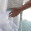 Thickened Packaging Bubble Wrap Roll