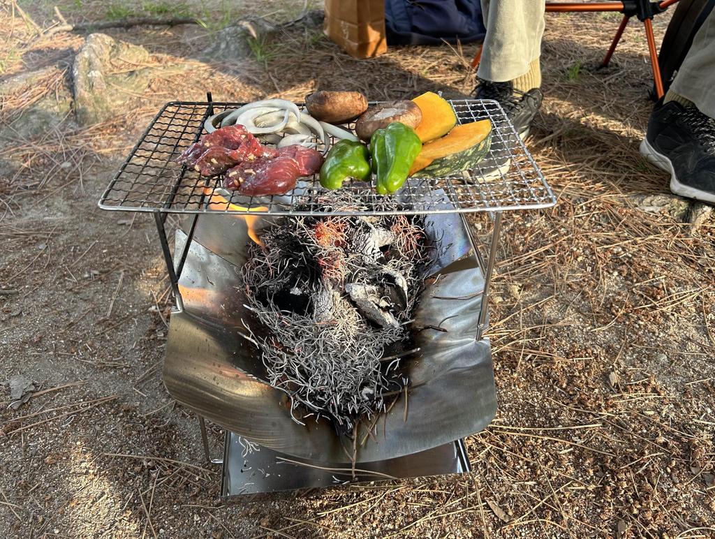 ACURACE Folding Campfire Set, Compact, Lightweight, Foldable, for Solo Camping, Includes Net and Storage Case