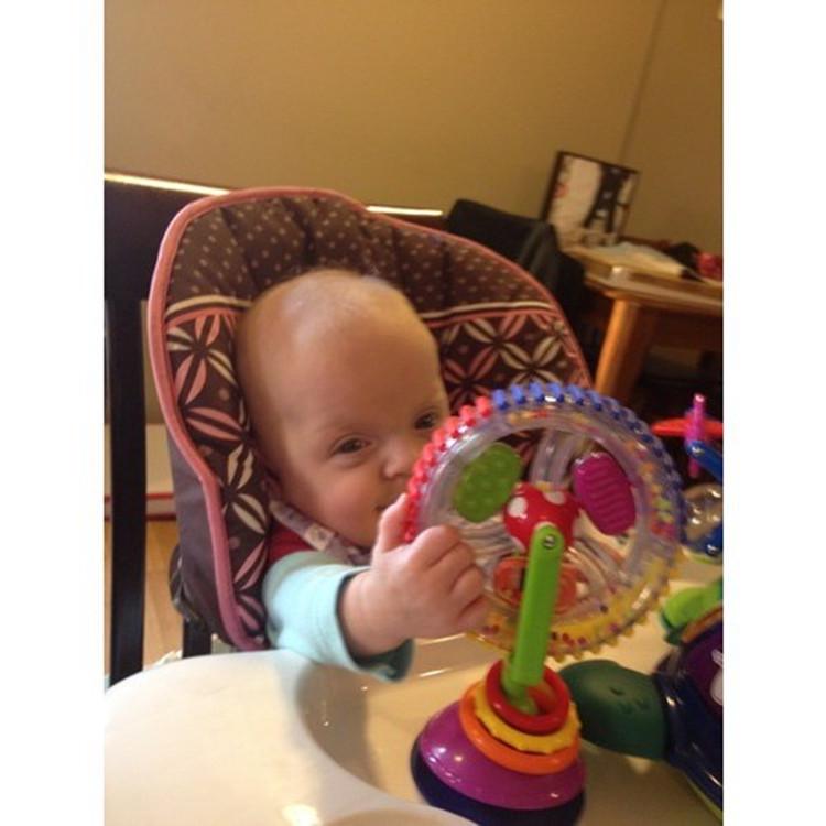 Tri-Color Rotating Ferris Wheel Baby Windmill: Multifunctional, Colorful Suction Cup Rattle Toy