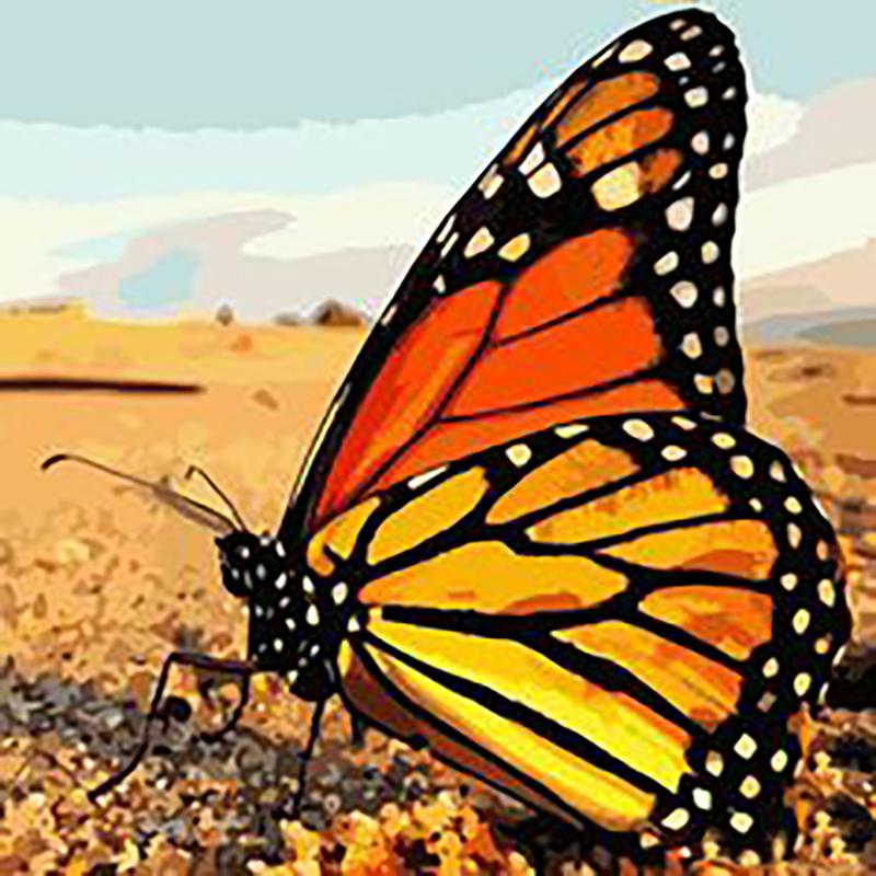 Pictură cu diamant 5D cu fluture DIY, rotund complet, rășină, broderie cu diamante florale, cu punct de cruce, mozaic, artă de perete, decor acasă