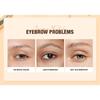 O.TWO.O - Natural Shaping Eyebrow Cream - 4 Colors
