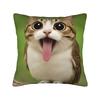 Pillow Cover Green Fruit Space Cat  Fashion Pillow Case For Sofa Home Decor Pillowcases