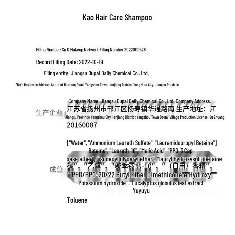 Kao Refreshing & Smooth Hair Care Shampoo