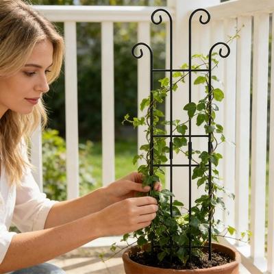 Sturdy Construction Vertical Garden Support Metal Metal Plant Trellis For Climbing Plants