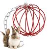 Round Rabbit Grass Feeder Wear-resistant Hanging Grass Ball Suspending Feeder  Pet Feeding
